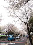 P3289525
