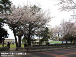 P3289526