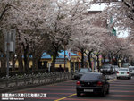 P3289537