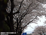 P3289539