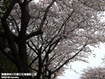 P3289540