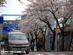 P3289544