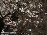 P3289555