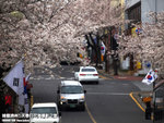 P3289591