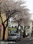 P3289598