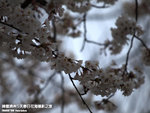 P3289622