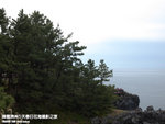 P3289432