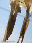 P3279187