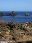 P3279200