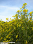 P3278979