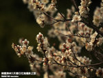 P3300289
