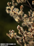 P3300291