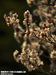 P3300292