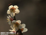 P3300311