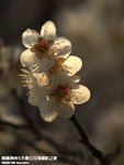 P3300313