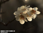 P3300314