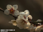 P3300319