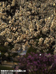 P3300360