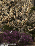 P3300362
