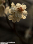 P3300374