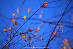 DSC00754