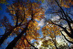 DSC00860