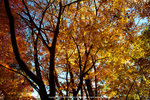 DSC00884