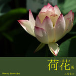 P6240365