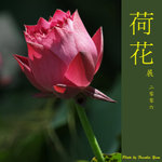 P6240371