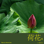P6240373