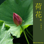 P6240374