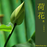 P6240390