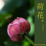 P6240391