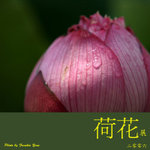 P6240393