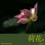 P6240401