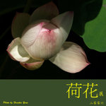 P6240403