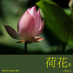 P6240407