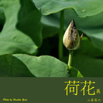 P6240410