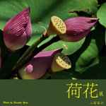 P6240413