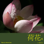 P6240414