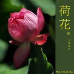 P6240419