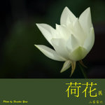 P6240426