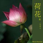 P6240431