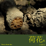 P6240436