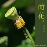 P6240439