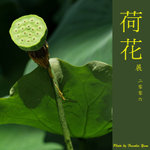 P6240441