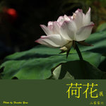 P6240445