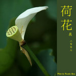 P6240454
