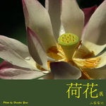 P6240458