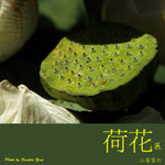P6240462